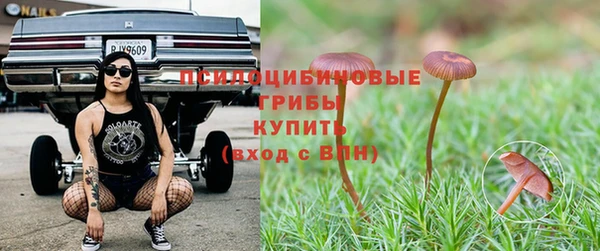 первитин Алексеевка