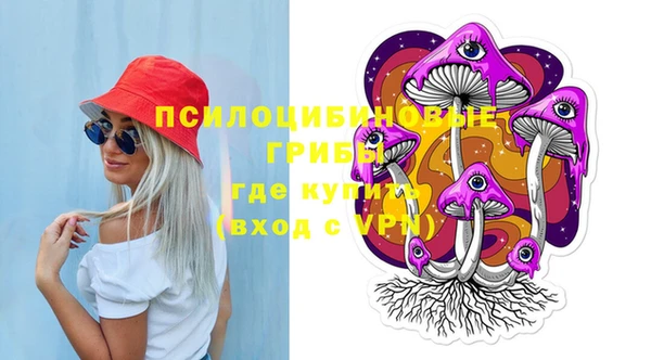 дурь Алзамай