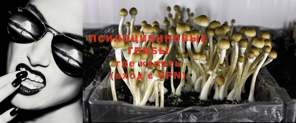 дурь Алзамай