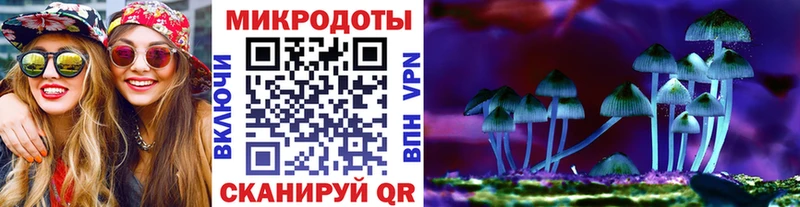 Галлюциногенные грибы Cubensis Кола